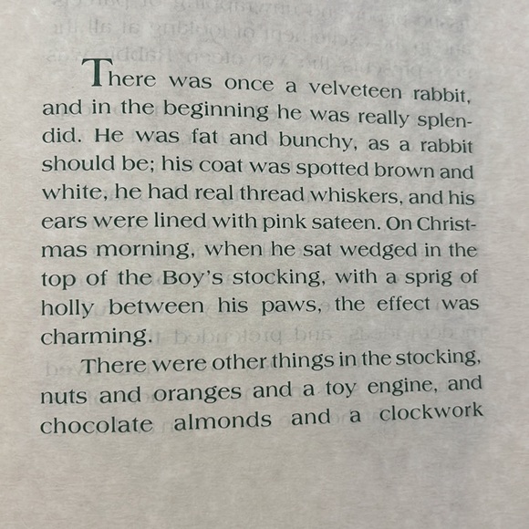 The Velveteen Rabbit or How Toys Become Real by Margery Williams Hardcover book - Picture 5 of 8
